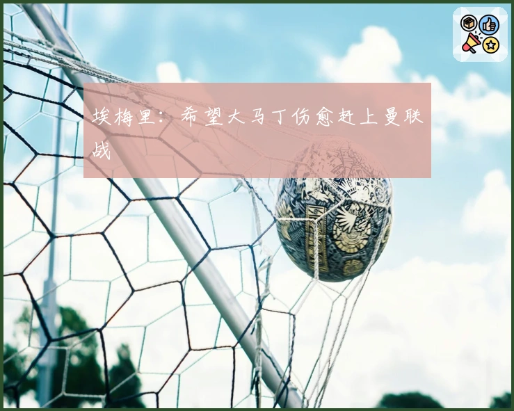 埃梅里：希望大马丁伤愈赶上曼联战