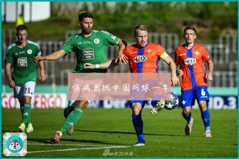 伤病困扰中国网球一年