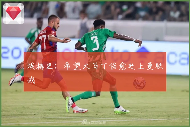 埃梅里：希望大马丁伤愈赶上曼联战