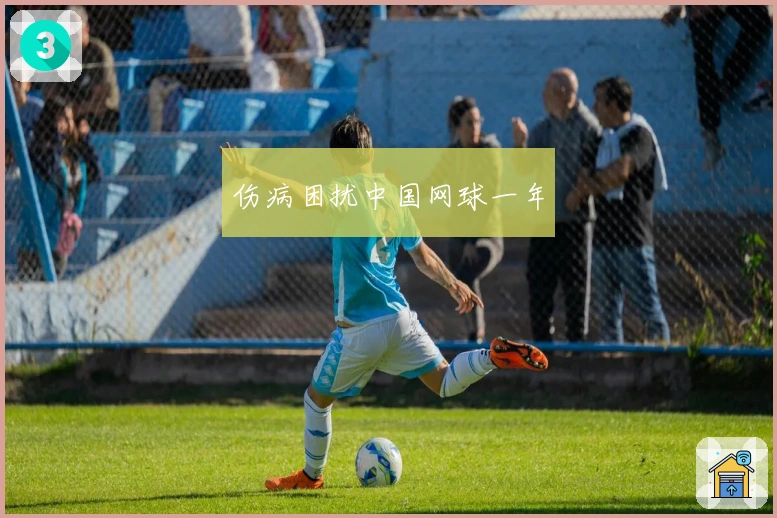 伤病困扰中国网球一年