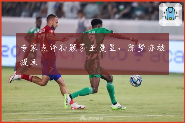 专家点评孙颖莎王曼昱，陈梦亦被提及